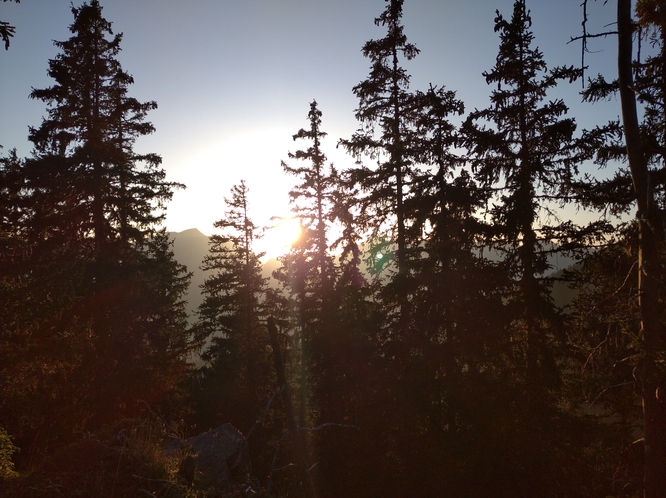 Coucher de soleil dans les bois